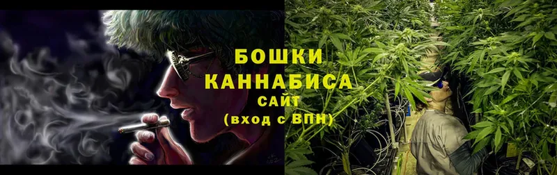 Где купить наркотики Новошахтинск ГАШ  Alpha PVP  Меф  АМФЕТАМИН  Cocaine 